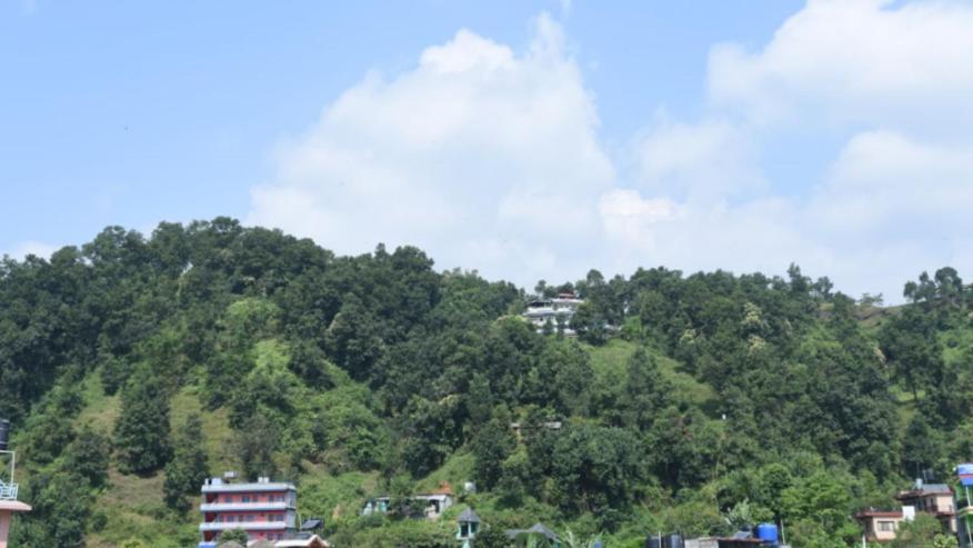 Hotel Green Hill View Pokhara Zewnętrze zdjęcie